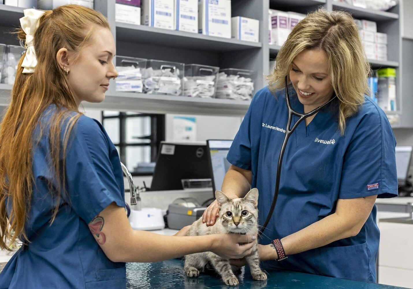 The lead DVM at Livewell Animal Hospital of Elizabeth performing exam on young kitten with veterinary assistant present