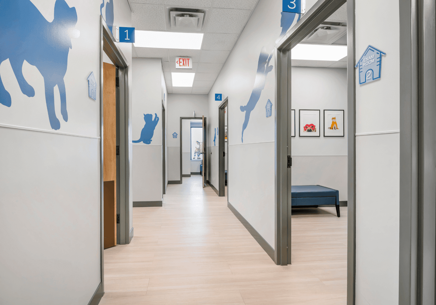 Livewell Animal Hospital Exam Room Hallway